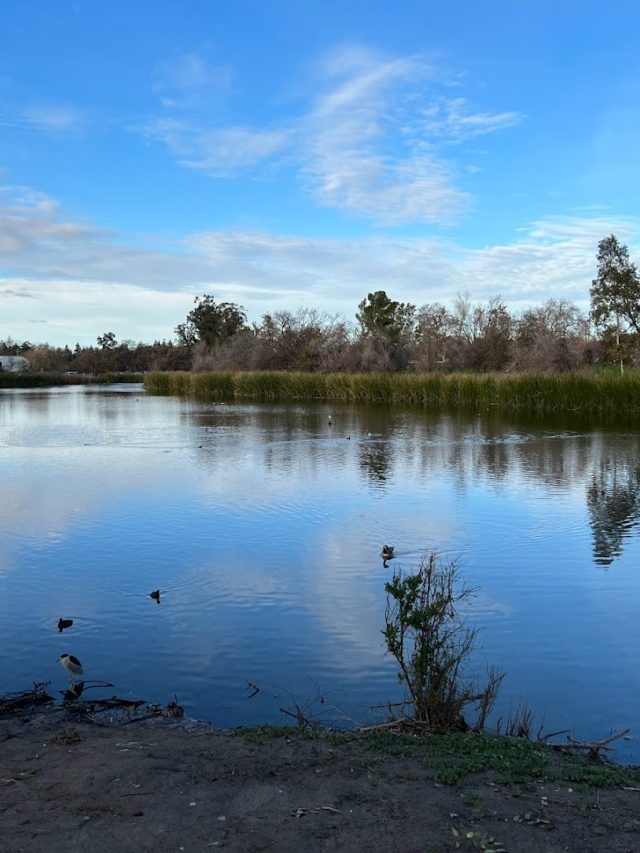 3 Best Parks in Walnut Creek, California